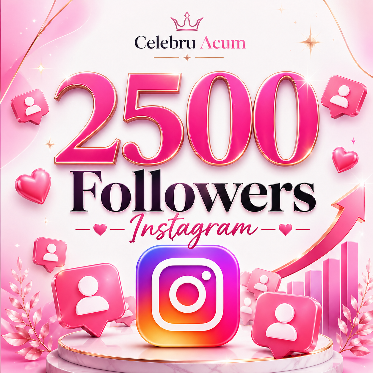 2500 Followers Instagram