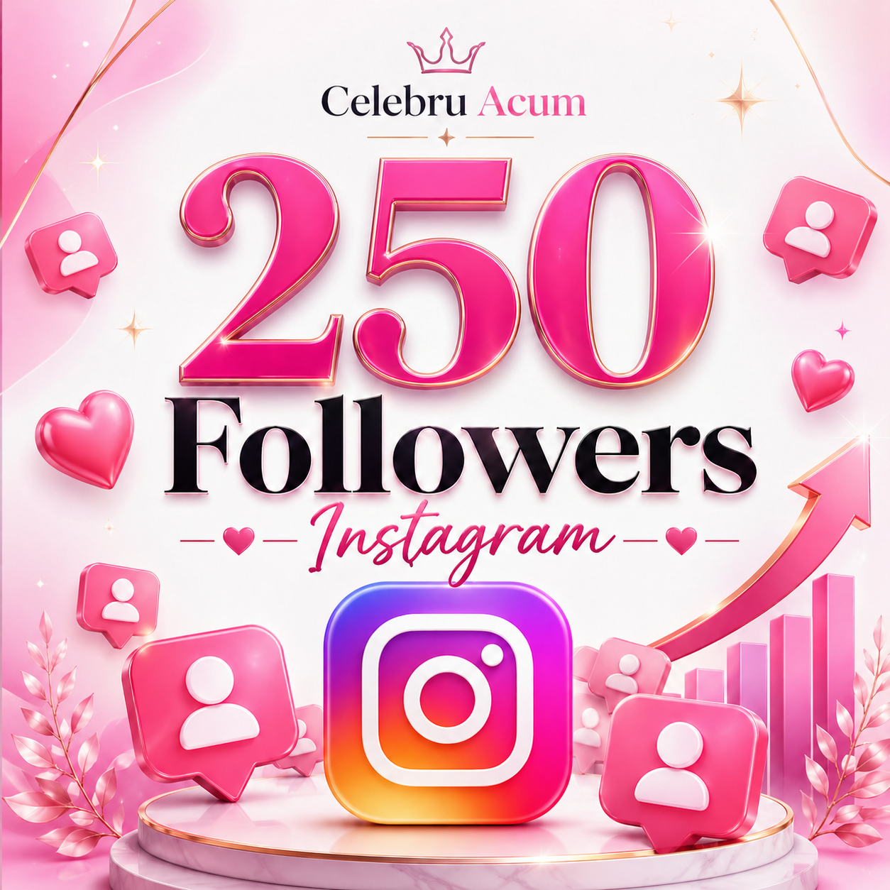 250 Followers Instagram